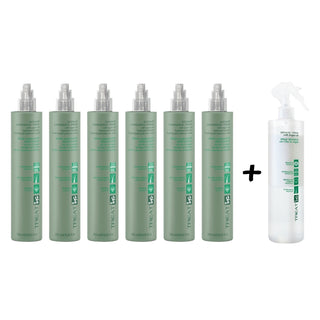 Promo 6 Instant Laminating Spray Ing 250 + 1 Biphasic Spray Ing 500 ml.