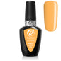 Gel Polish 293 Pomelo Juice Roby Nails 8 ml