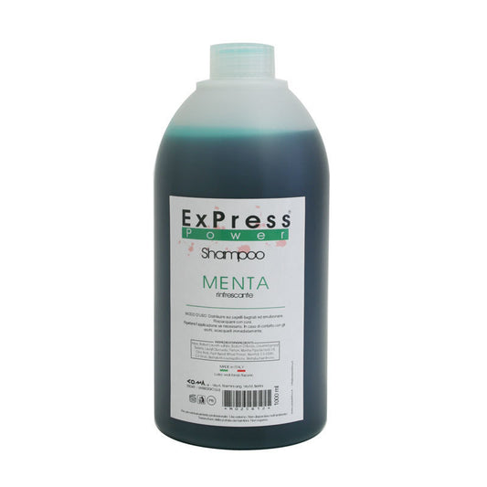 Shampoo Menta Rinfrescante Express Power 1000 ml