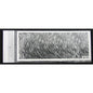 3D Nail Sticker striscia cod. BLE-501