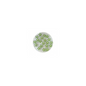 Decori fiori bombati verde LP