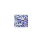 Decori HO fiocchetti viola LP