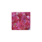 Scaglie LP rosso metal